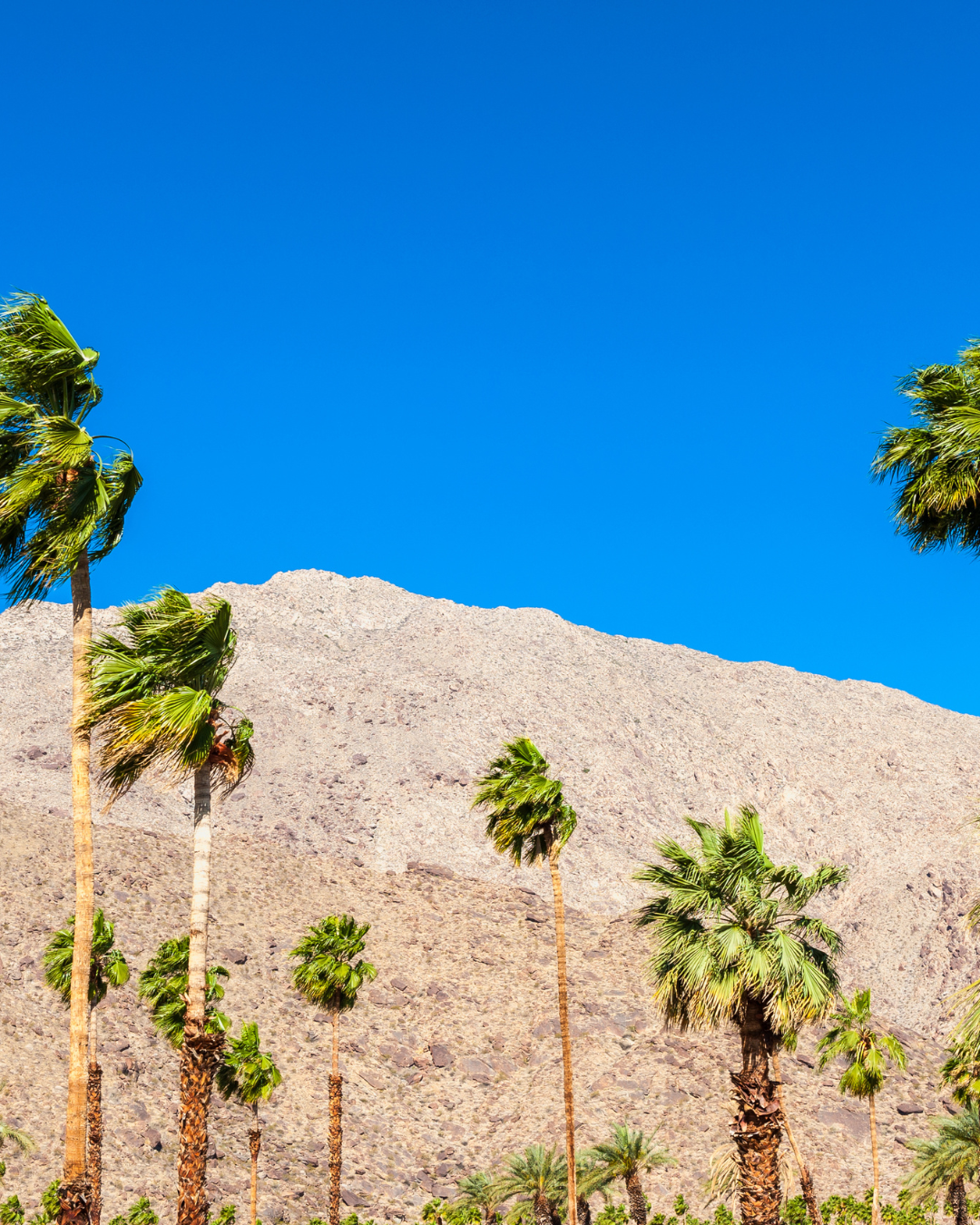 Palm Springs Bachelorette Yoga 2