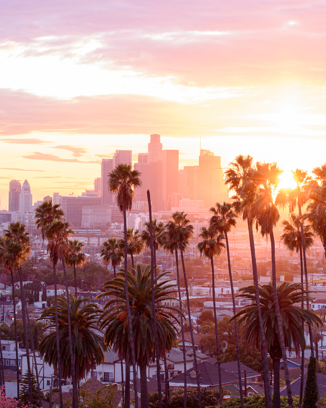 Los Angeles Bachelorette Yoga 1