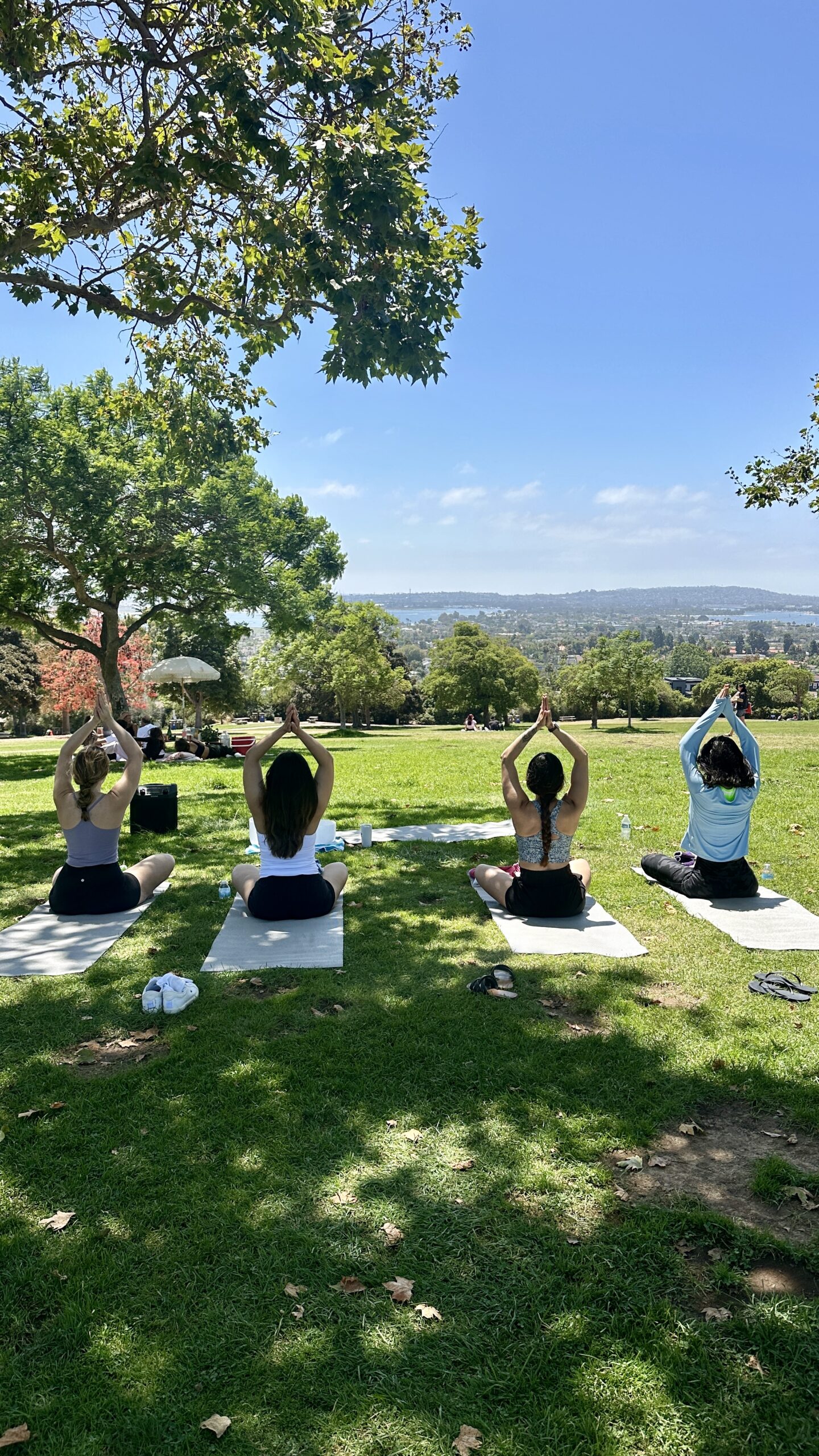 Private Meditation Teacher San Diego