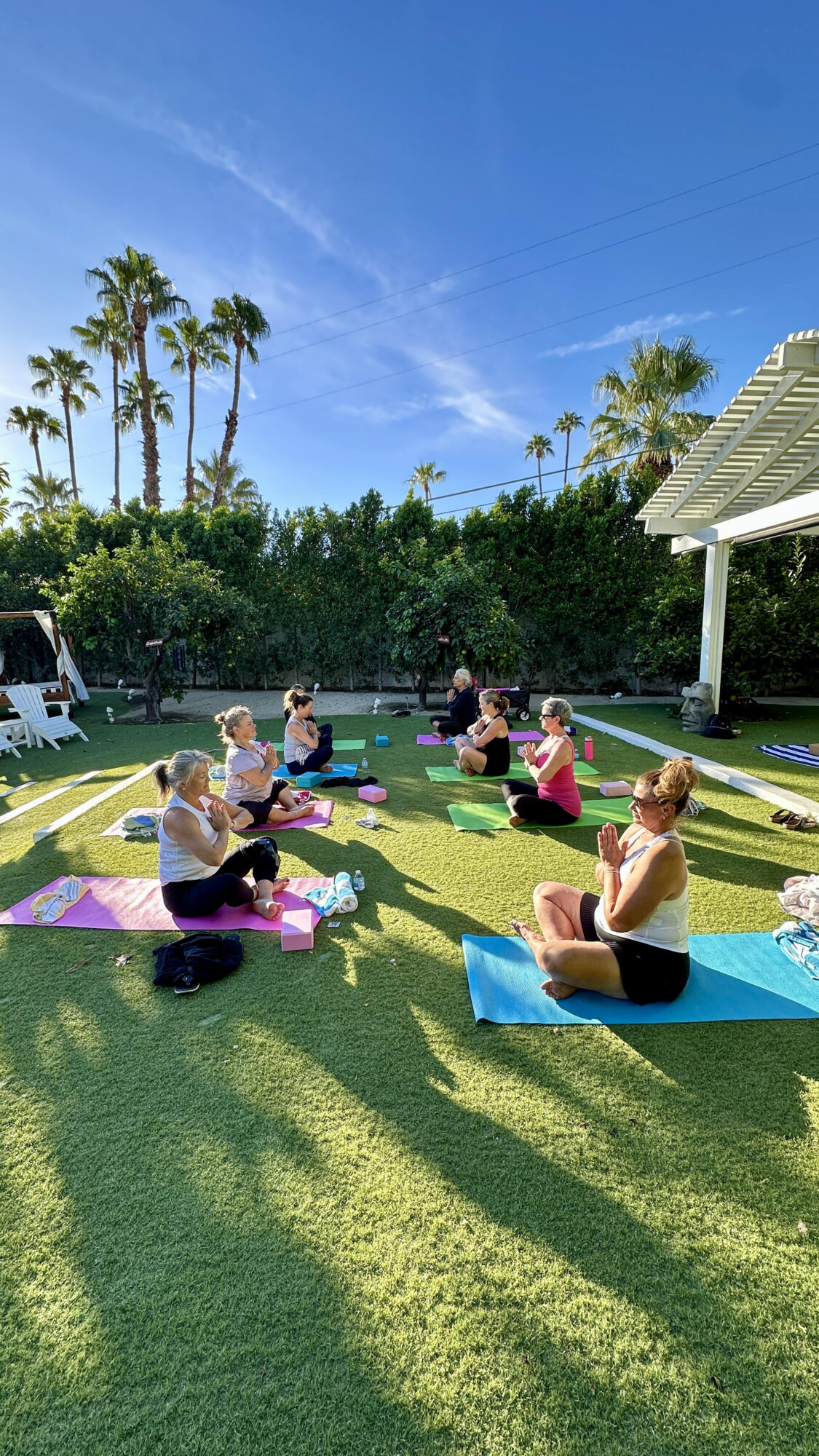 Mind Body Badass Palm Springs Private Yoga