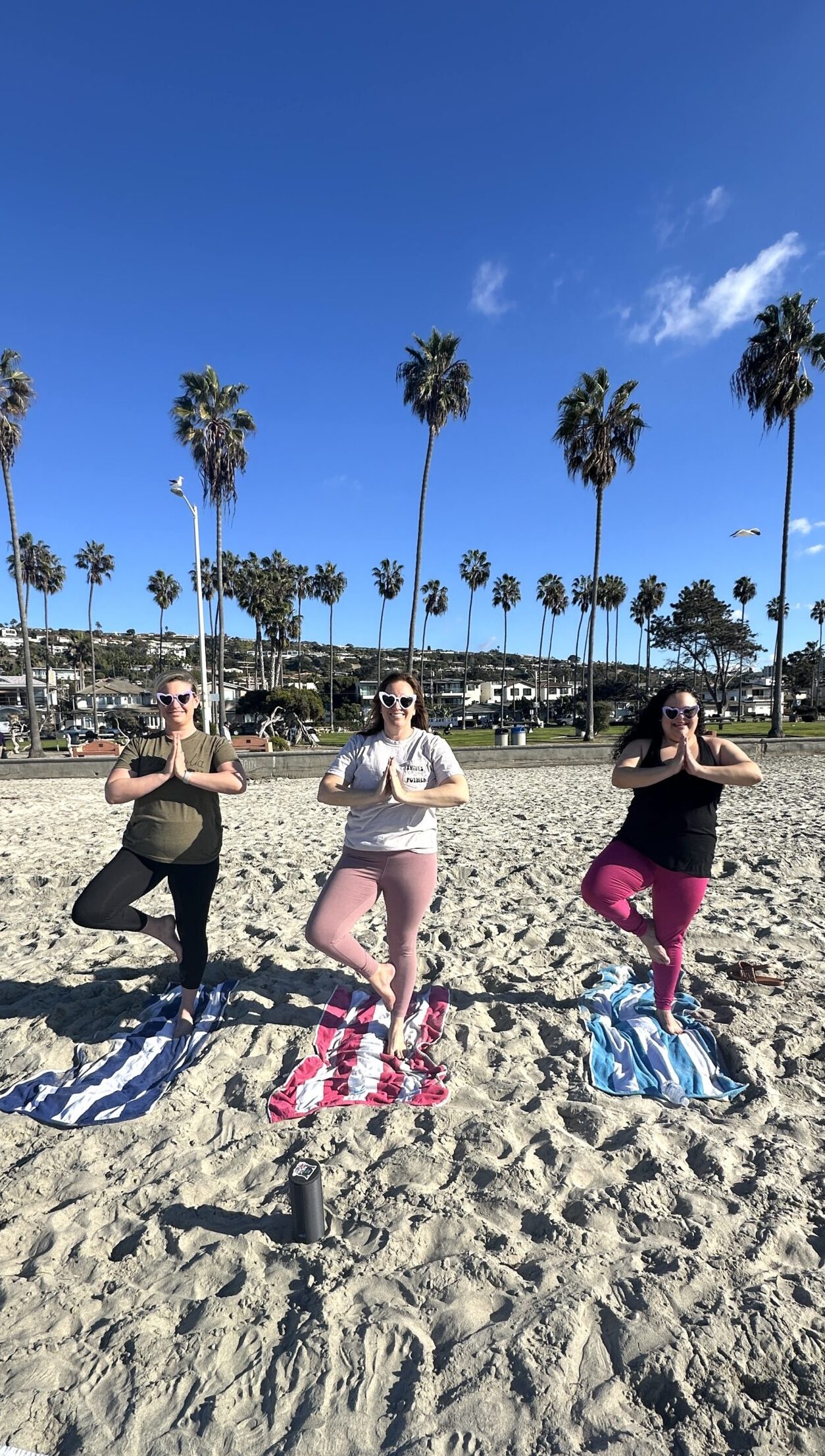 San Diego Bachelorette Yoga La Jolla 2