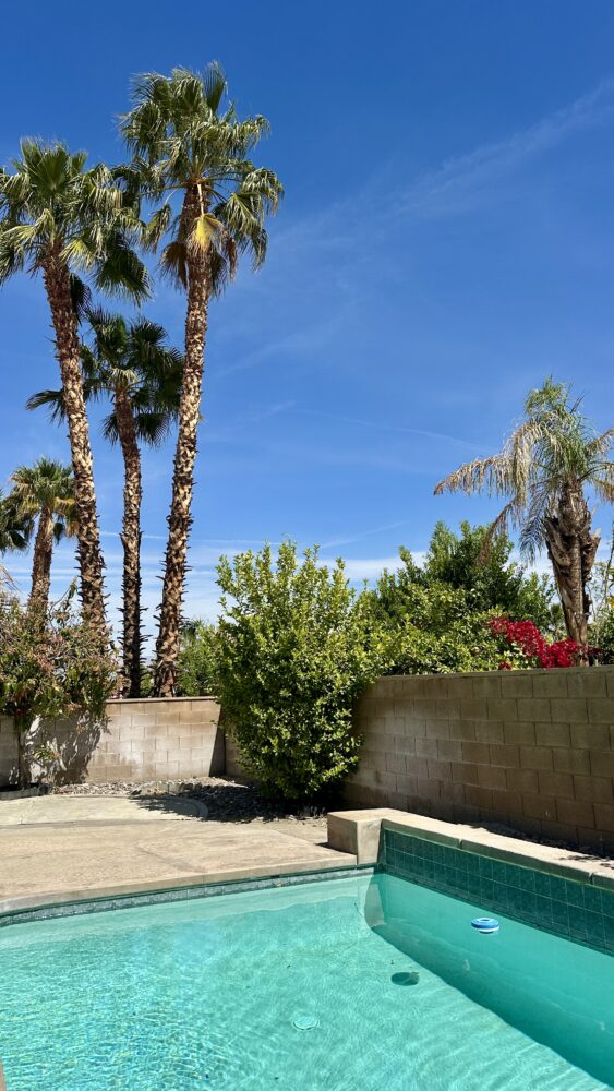 Peaceful Palm Springs