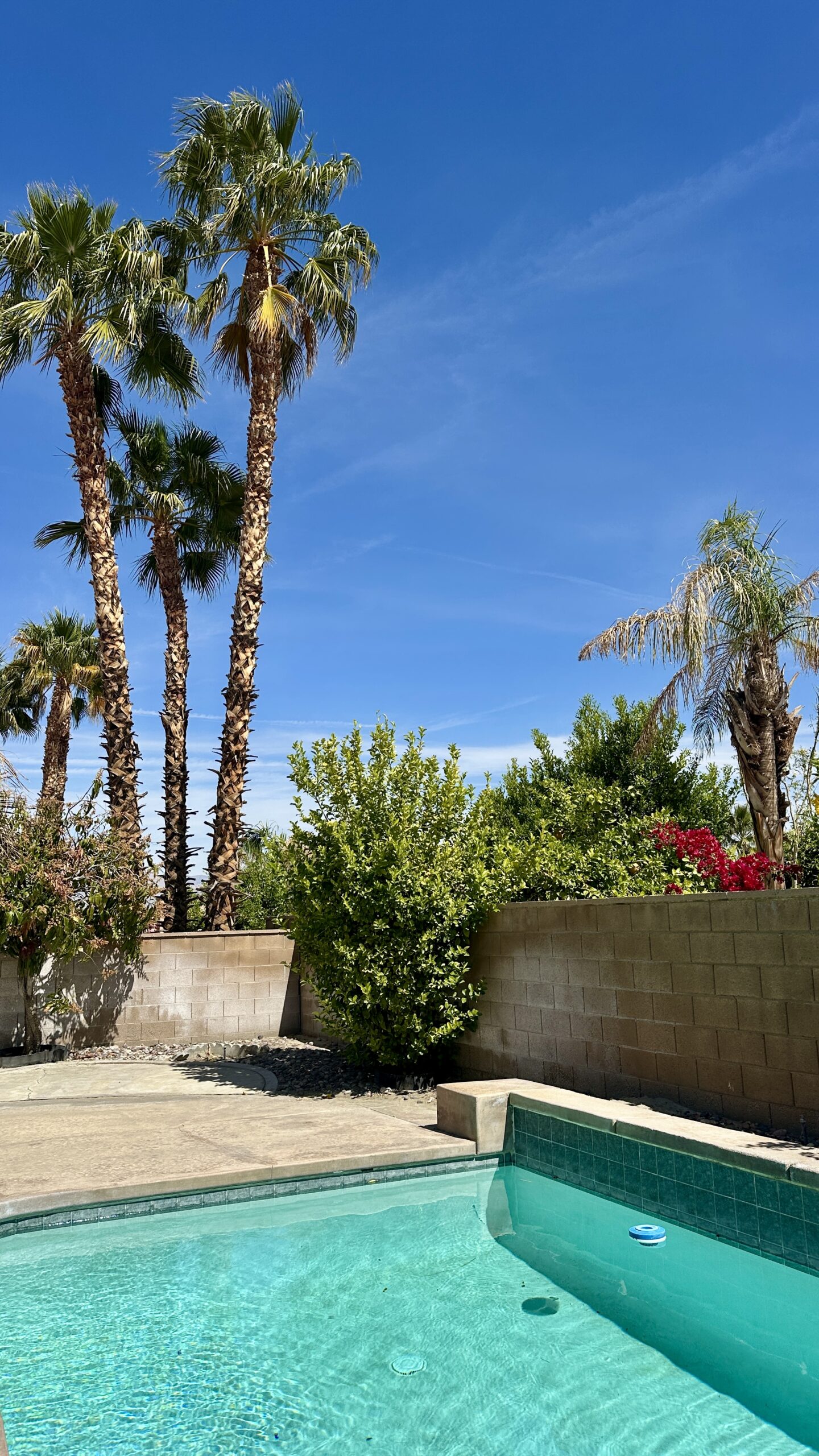 Desert Reset Palm Springs Retreat 2
