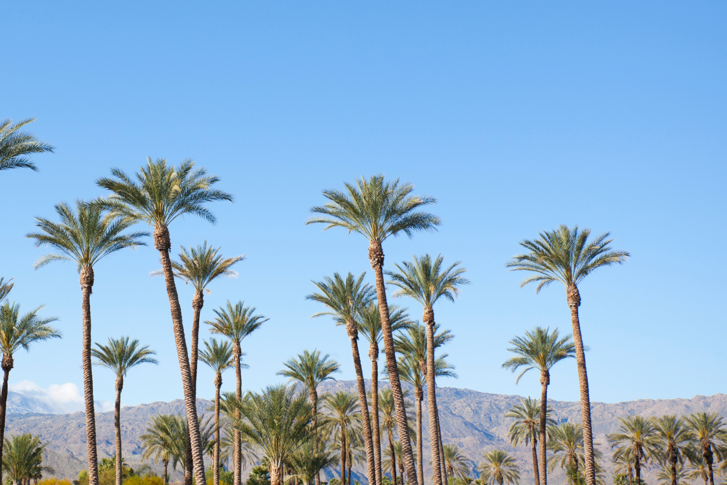 Palm Springs Yoga Retreat Desert Reset