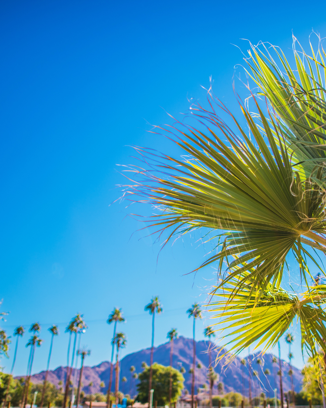 Private Yoga Palm Springs Cover