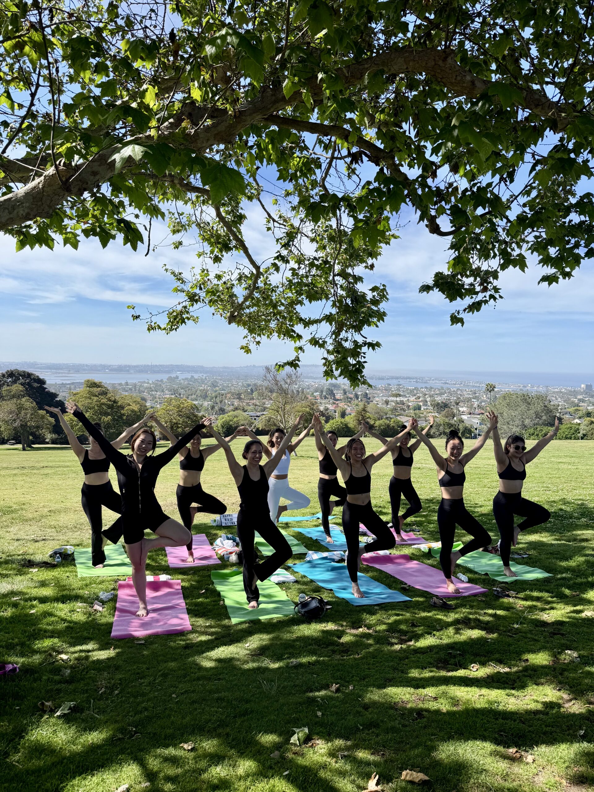 Private Yoga San Diego Kate Sessions