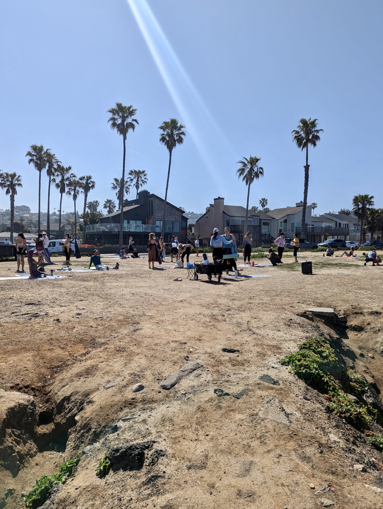 Sunset Cliffs Yoga 6